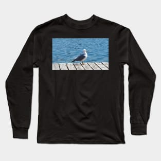 A Gull Standing On A Wooden Walkway Long Sleeve T-Shirt